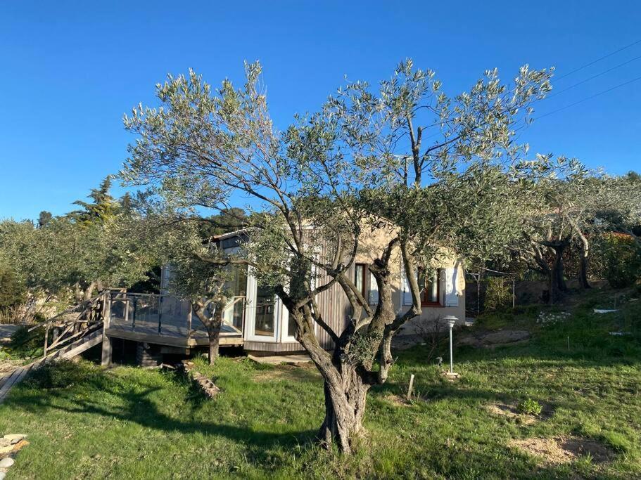 Neuve Romantique Montbrun-des-Corbieres Bagian luar foto